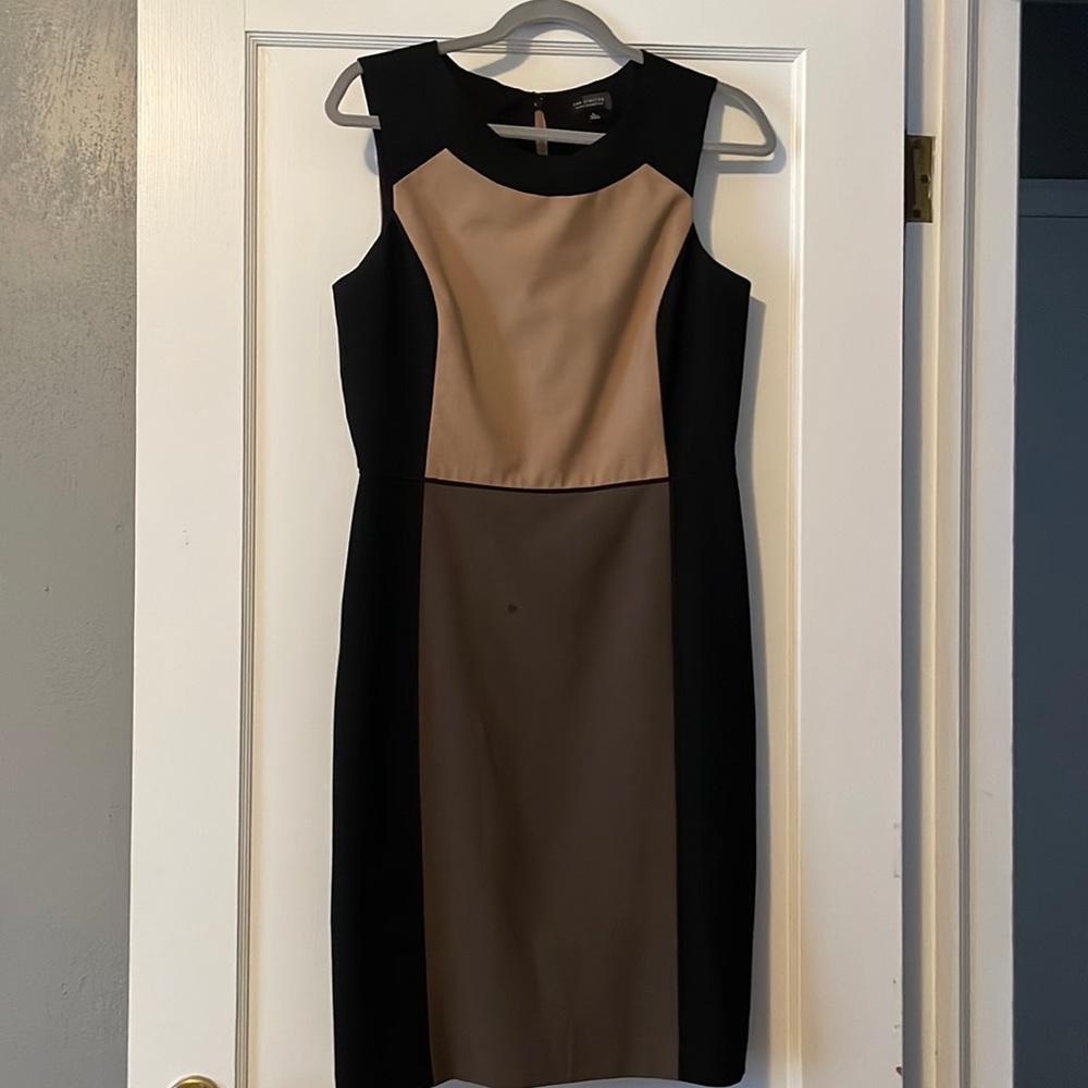 The Limited Black Collection Color Block Dress
